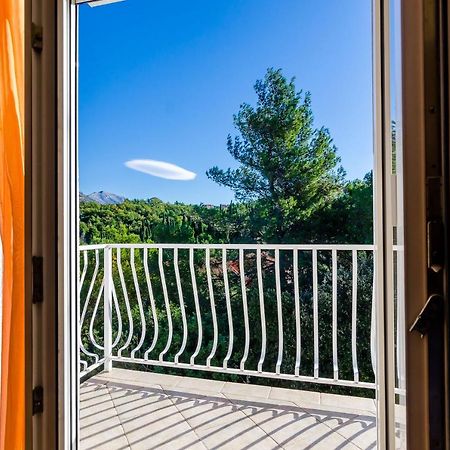 Apartments Zrno Cavtat Dış mekan fotoğraf